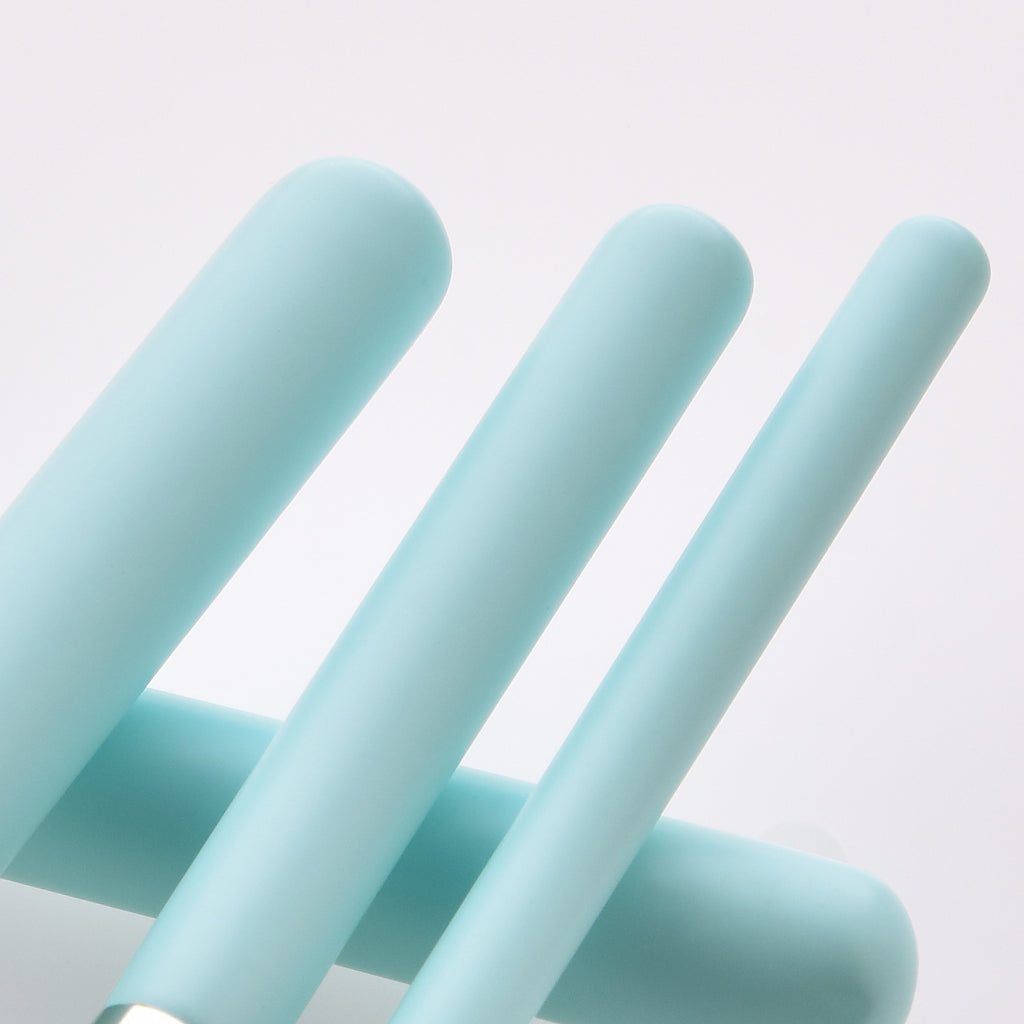 Light Blue Makeup Brush Set with 12 Tools